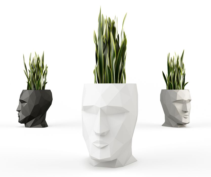 CARAS OZ design OZ design